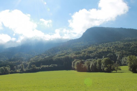 La vue à l'arrière de la maison